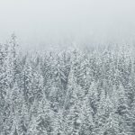 4 conseils pour préparer votre maison avant l’hiver